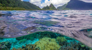 Sea level at Ofu Island, National Park of American Samoa (NPS Photo)