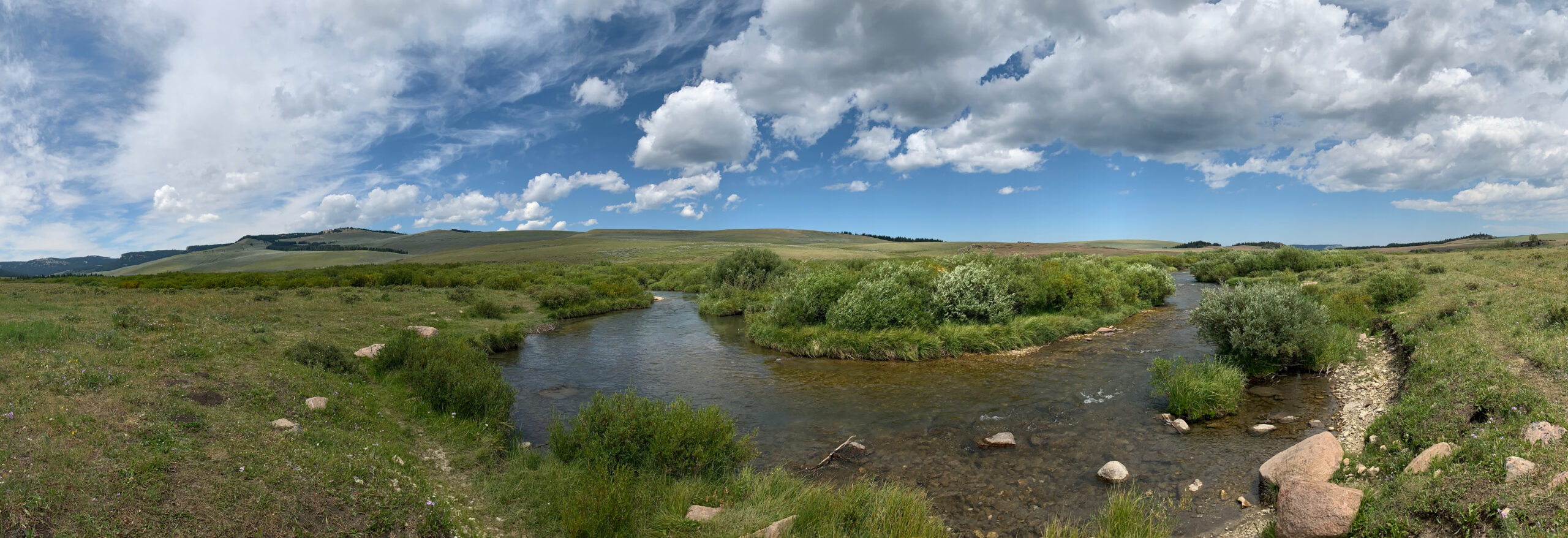 The North Fork of the Tongue River near Burgess Junction